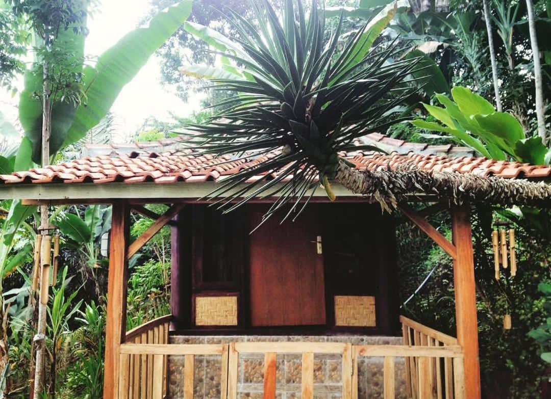 Ferienwohnung Sky garden Lombok Tetebatu Exterior foto